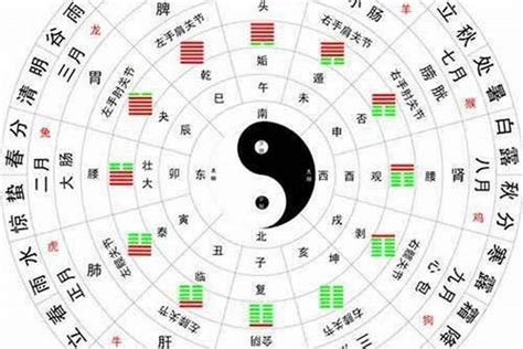 八卦 属性|阴阳五行八卦基础知识讲解 阴阳五行八卦天干地支基础知识